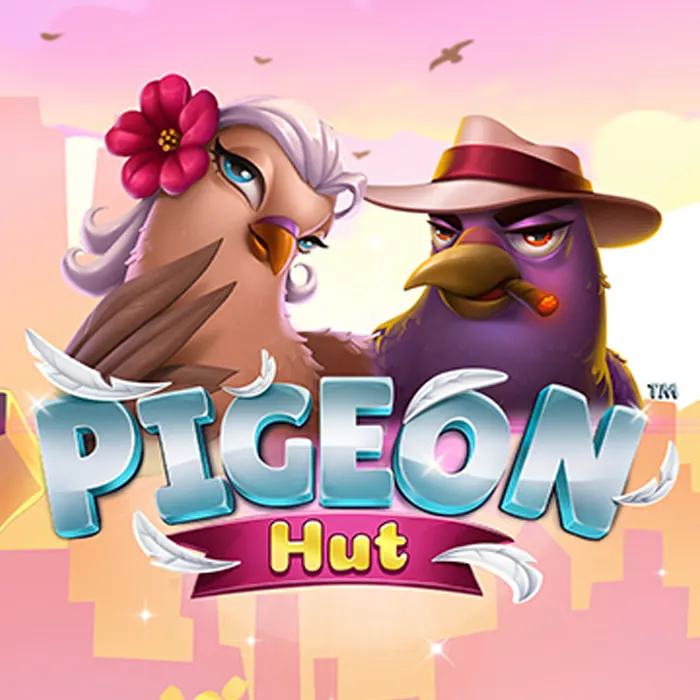 Pigeon Hut met live jackpot